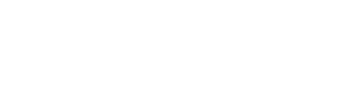 Apex Leap Capital